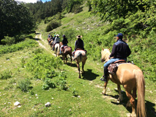 Italy-Abruzzo/Molise-Secrets of the Guardiaregia Campochiaro Reserve